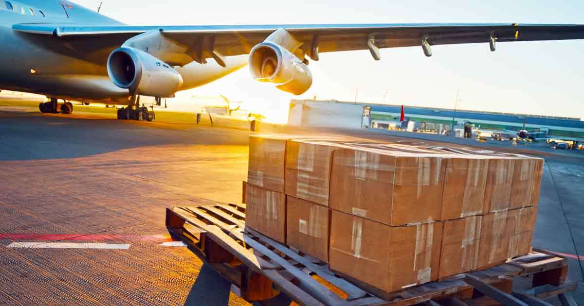 Ekspansi Pasar Global: Berkah Haybil Exspres